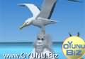 Albatroslara Penguen
taşıt oyunu oynamak için tıklayın