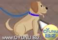 Köpek
eğiticisi oyunu oynamak için tıklayın