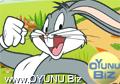 Bugs Bunny Havuç
Topla oyunu oynamak için tıklayın